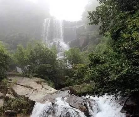 治超非现场执法“自助办”上线